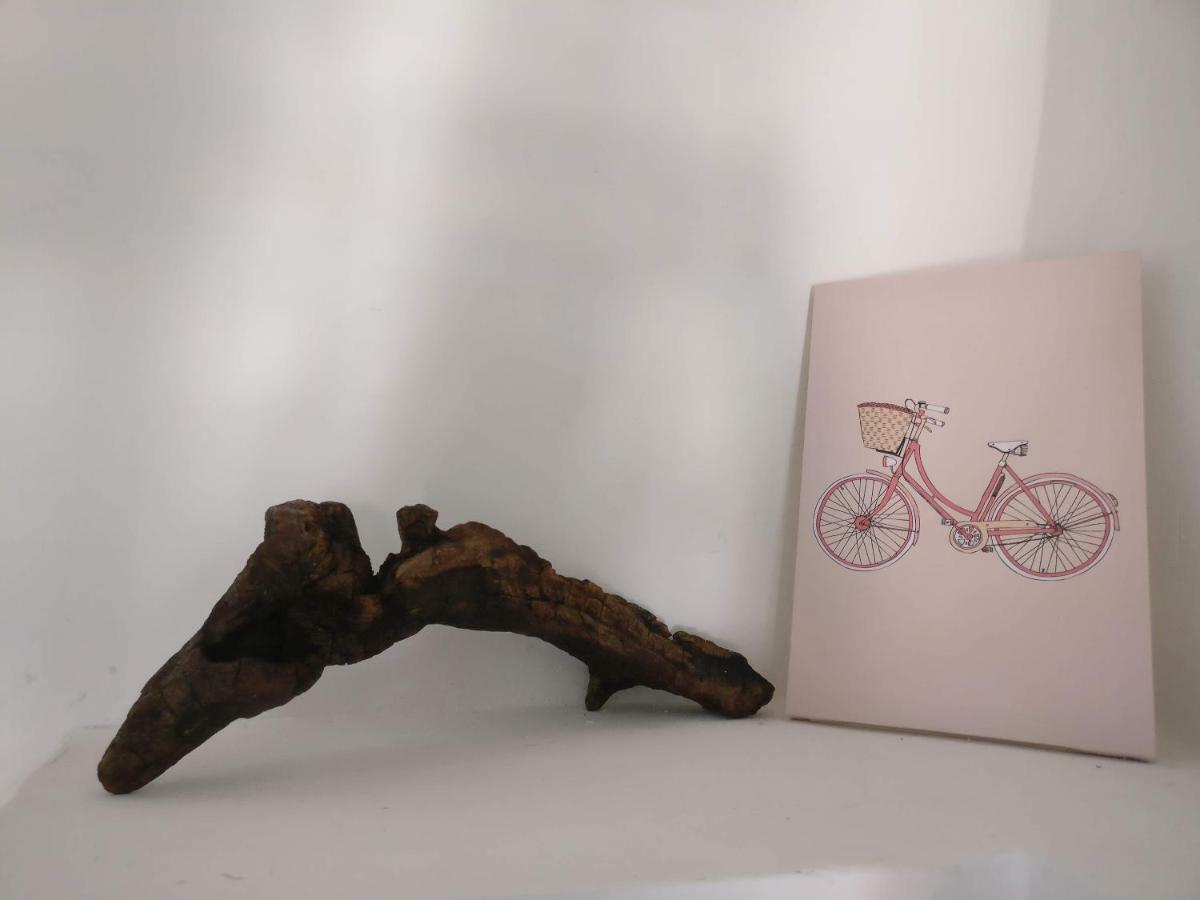 La Chiave Del Gufo - Bojano Holiday home *